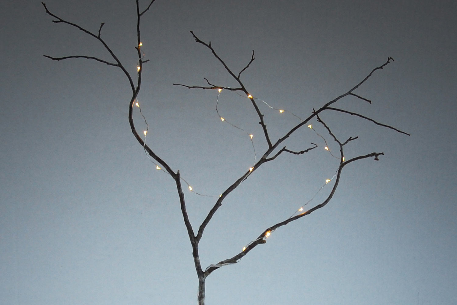 Branches lumineuses